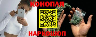 прущие грибы Партизанск