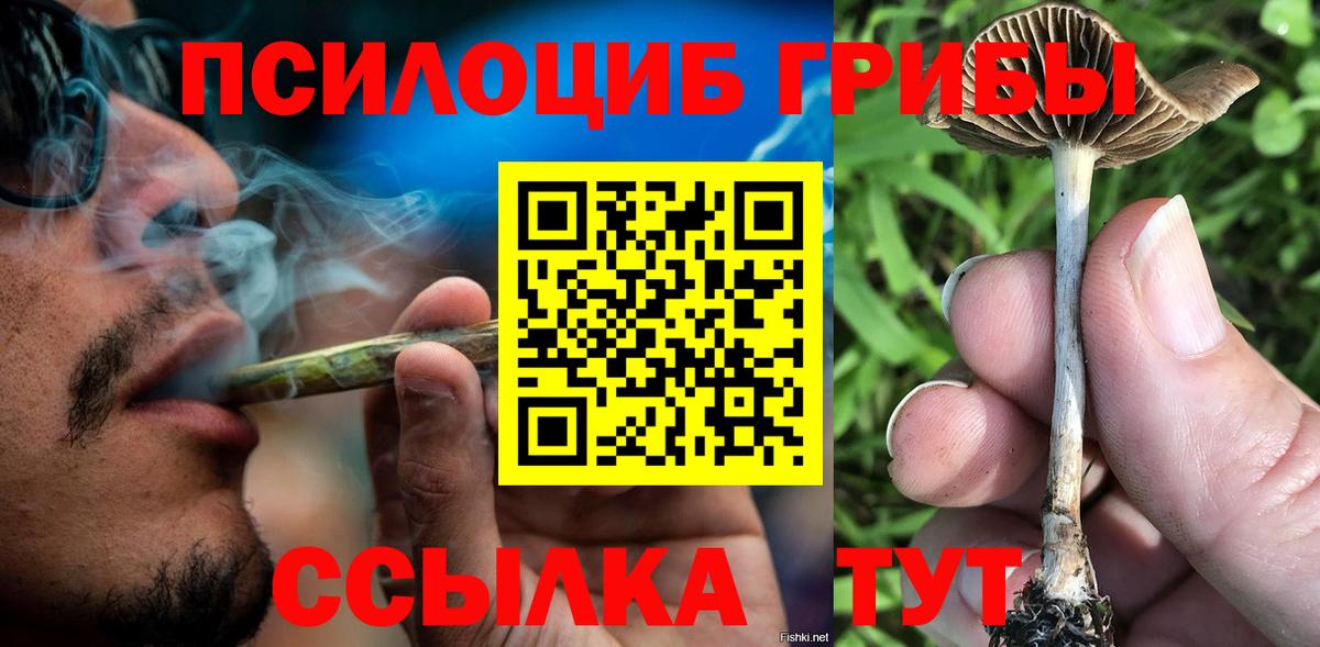 Псилоцибиновые грибы Psilocybe Нерюнгри