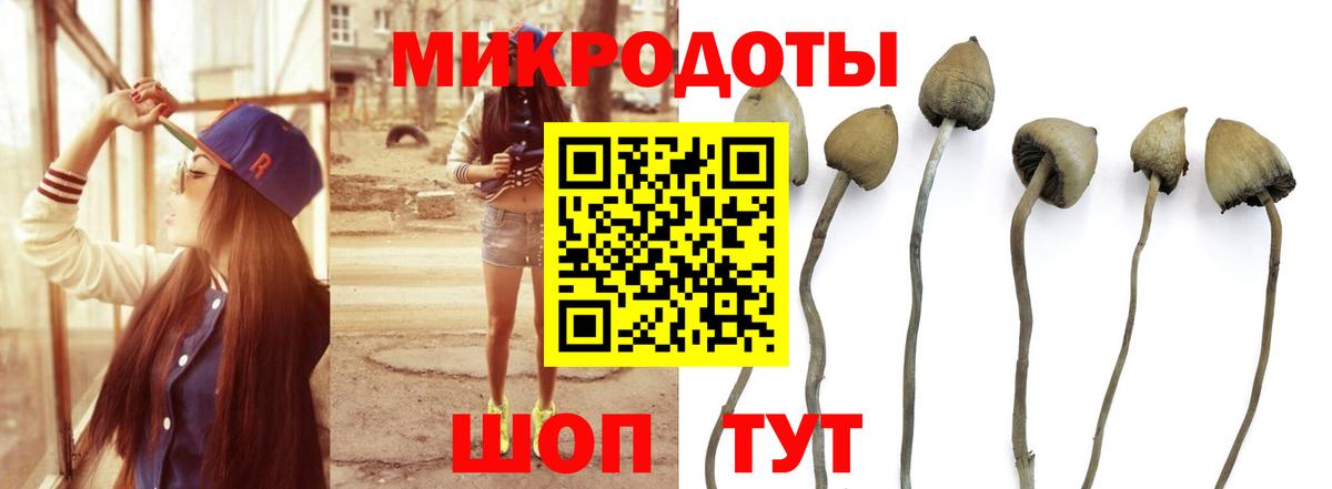 Галлюциногенные грибы Magic Shrooms  Псилоцибиновые грибы GOLDEN TEACHER  Нерюнгри  Вход с VPN 